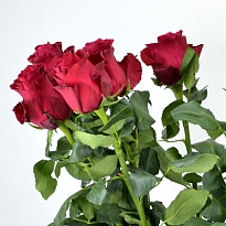 Роза Rhodos дл.60 10шт