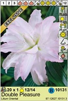 Лилия Дабл Плеже вост.12/14 1шт*
