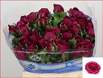 Лютик Succes Sherry 10шт