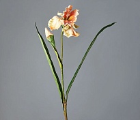 Ирис в букете искусственный h85см светло-персиковый