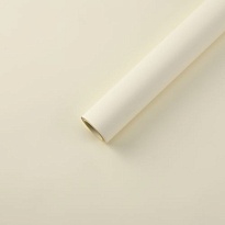 Пленка матовая 50см*10м 50мкр молочный