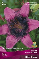 Лилия азиатская Танго Пёпл Дрим 12/14 2шт