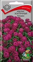 Иберис зонтичный Вспышка 0,3г /Поиск