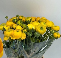 Лютик Elegance Light Yellow 10шт