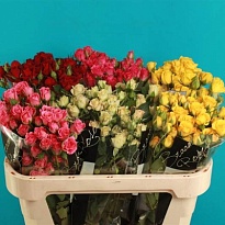 Роза кустовая Mix дл.60 10шт