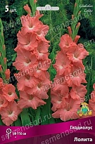 Гладиолус Лолита 10/12 5шт
