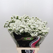 Статица white 5шт