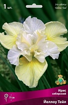 Ирис сибирский Йеллоу Тейл 1шт