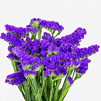 Статица Blue (Ит) 5шт
