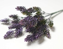 Зелень, букет искусственный, хмель, 7 веток, h33см, фиолетовый