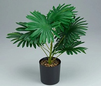 Пальма искусcтвенная h35см зеленый