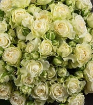 Роза Idilia кустовая (Ц) дл.60 10шт/уп