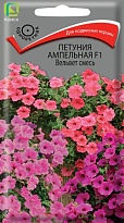 Петуния ампельная F1 Вельвет смесь 5шт /Поиск