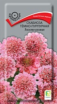 Скабиоза темно-пурпурная Лососево-розовая 0,2г /Поиск