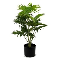 Ливинстона искусcтвенная h68см зеленый