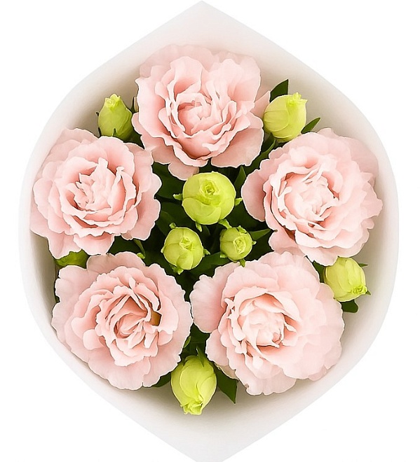 Эустома Махровая Terry Light pink (К) дл.70 1уп