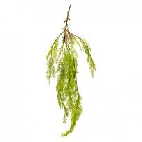 Ампельная зелень искусственная аспарагус куст h95см зеленый