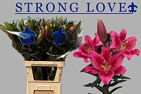 Лилия Or. Strong Love 2+ 10шт