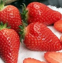 Земляника Альба (кассета 6шт) 1шт