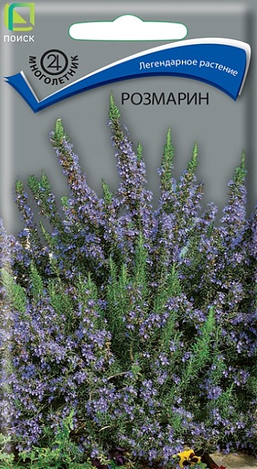Розмарин (лекарственный) 0,01г /Поиск
