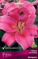 Лилия ОТ-гибрид Импрато 12/14 2шт
