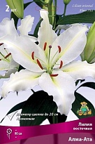 Лилия восточная Алма-Ата 12/14 3шт