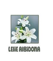 Лилия Az Albidona 3+ 10шт