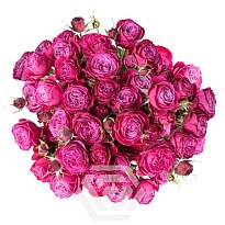 Роза куст. Tessa Party Trendsetter дл.50 10шт