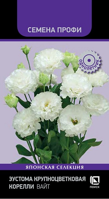 Эустома (Лизиантус) Корелли Вайт 5шт /Поиск