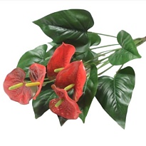 Антуриум в букете искусственный 5 голов h50см красный