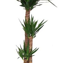 Юкка 3Д d21 h95 1шт