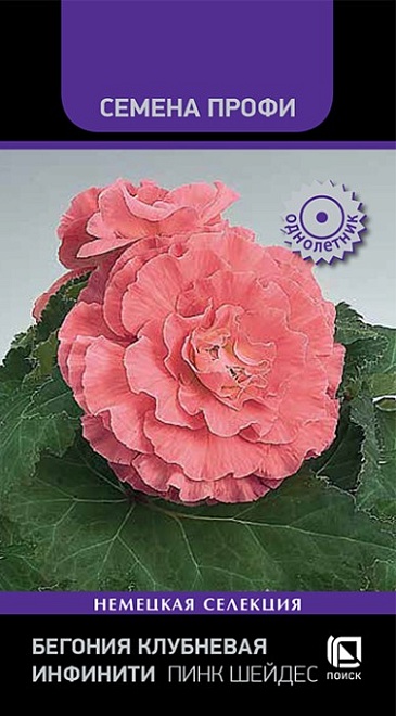 Бегония клубневая Инфинити Пинк Шейдес 7шт /Поиск