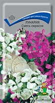 Лунария Смесь окрасок 0,2г /Поиск