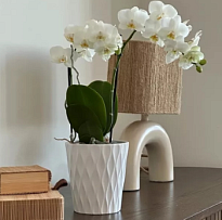 Кашпо Polnix Barcelona d13 h14см керамика белый