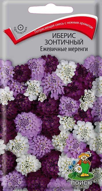 Иберис зонтичный Ежевичные меренги 0,1г /Поиск