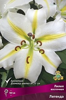 Лилия восточная Легенда 12/14 3шт