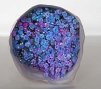 Гипсофила Violeta Tinted Duo Blue/purple 1000gr 25шт