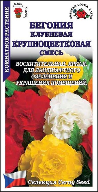Бегония клубневая Крупноцветковая смесь 5шт /ЗС