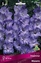 Гладиолус Мохито 10/12 5шт