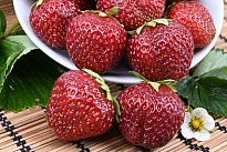 Земляника Фэвори (Фаворит) (ОКС) 3шт/упак