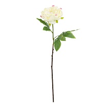 Пион одиночный, искусственный, h61см, белый