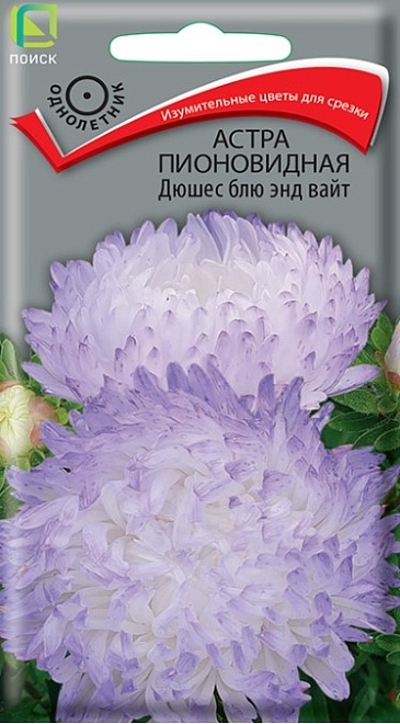 Астра пионовидная Дюшес Блю энд Вайт 0,3г /Поиск