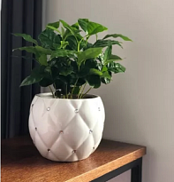 Кашпо Polnix Moon d16*14 h13см керамика белый