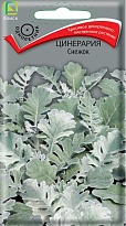 Цинерария Снежок 0,1г /Поиск