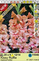 Гладиолус Кисси Раффл 12/14 5шт*