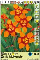 Крокосмия Эмили МакКензи 6/+ 5шт*