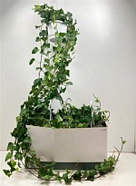 Хедера Мэйн Херц Ханг d17 h130 4шт