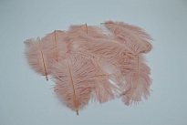 Перья Страуса h15-20см 10шт/уп персиковый