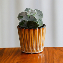 Кашпо Polnix Vintage d14 h13см керамика коричневый 