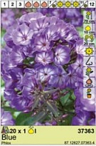 Флокс Голубой 1шт* 